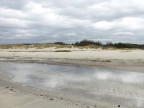 White beaches White beaches