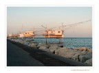 L'ora dei fotografi... e dei pescatori L'ora dei fotografi... e dei pescatori