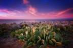 Colori di Sicilia Colori di Sicilia