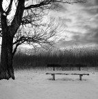 Hasselblad 500 c/m 
Distagon 50 
Kodak TMAX 100 
HC110 
Epson V750