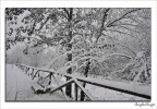 neve neve
