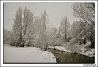 neve 3 neve 3