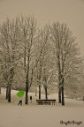 neve 5 neve 5
