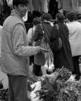 venditore di cipolle venditore di cipolle