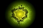 Kiwi Kiwi