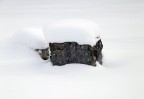 Rocce innevate Rocce innevate