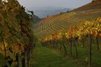 La fortuna di essere riuscito a fotografare un pezzo di langhe nell'unica settimana autunnale che offre tali colori.