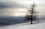 Winter Winter