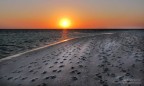 Heron Island 3 Heron Island 3