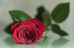 San Valentino San Valentino