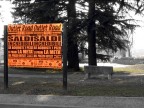 saldi