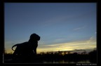 Madrid - Tramonto al Buen Retiro Madrid - Tramonto al Buen Retiro