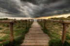 Il mare d'inverno Il mare d'inverno