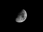luna luna