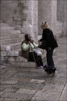La signora, il cagnetto e l'offerta La signora, il cagnetto e l'offerta