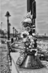un fiore per ricordare un fiore per ricordare