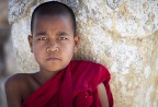 Little Burmese Monk Little Burmese Monk