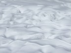 semplicemente neve semplicemente neve
