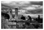 Volterra BW