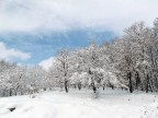 Forti nevicate Forti nevicate