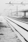 Dove ci porterà questo lungo inverno? Dove ci porterà questo lungo inverno?
