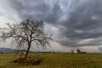 Campagne Campagne