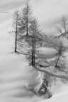Bianco Bianco