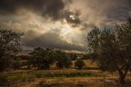Toscana Toscana