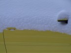 Giallo e bianco Giallo e bianco