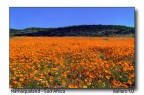 Namaqualand