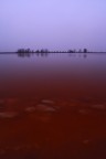 Cervia o... Mar Rosso? Cervia o... Mar Rosso?