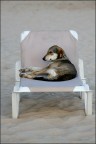 vacanze.... vacanze....