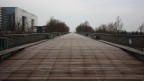 Il viale Il viale