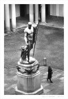 il Napoleone di Brera il Napoleone di Brera