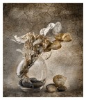 fiori secchi(interpretazione)
