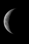 Luna Luna