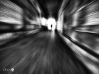 Verso la luce ... Verso la luce ...