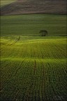 Linee tra le colline Linee tra le colline