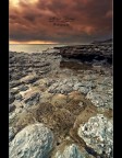 Cap Gris Nez Cap Gris Nez