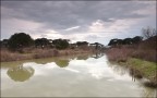 Acqua in cielo e in terra Acqua in cielo e in terra