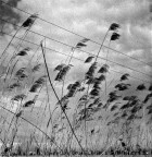 verso il cielo