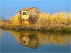 nelle Valli venete nelle Valli venete