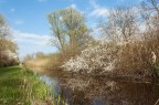 voglia di primavera voglia di primavera