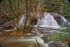 Torrente Torrente