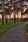 Sunset Sunset