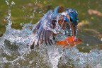 Buona pesca Buona pesca