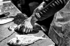 mercato isola-garibaldi mercato isola-garibaldi