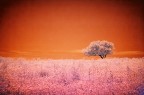 sicily IR sicily IR