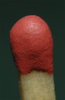 Fiammifero in macro Fiammifero in macro