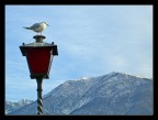 vediamo un po' dove andare...